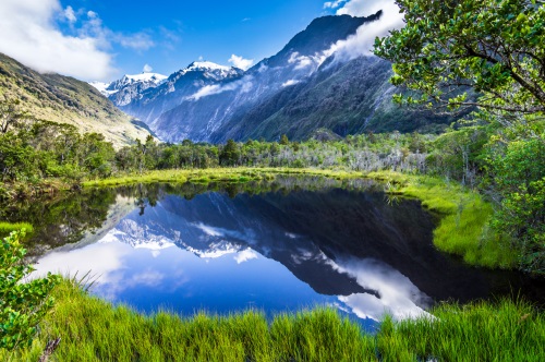 peters pool new zealand